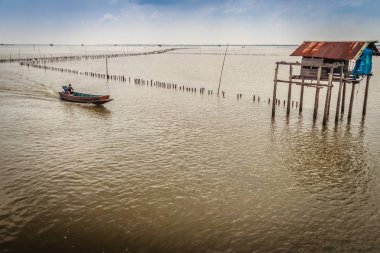 Cockle çiftçi ve kulübe Denizi 