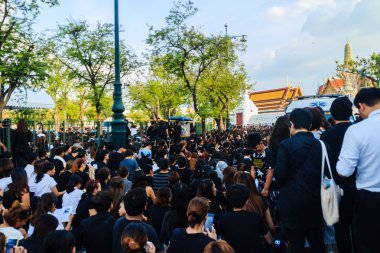 Tay insanlar kalabalık izlemek Kraliyet alayı