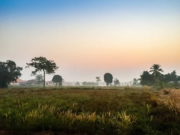 Casa de campo en el campo de arroz con amanecer en la mañana —  Fotos de Stock