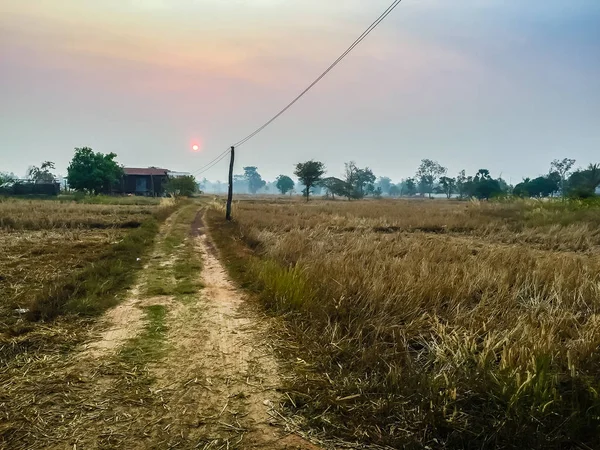 Het landelijk gebied in de ochtend met sunrise achtergrond — Stockfoto