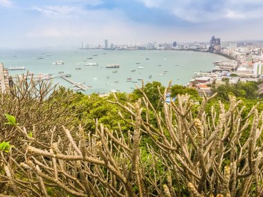 Mavi gökyüzü ile Pratamnak Tepesi 'nde Pattaya Körfezi manzarası güzel 