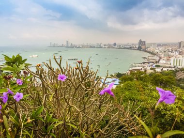 Mavi gökyüzü ile Pratamnak Tepesi 'nde Pattaya Körfezi manzarası güzel 