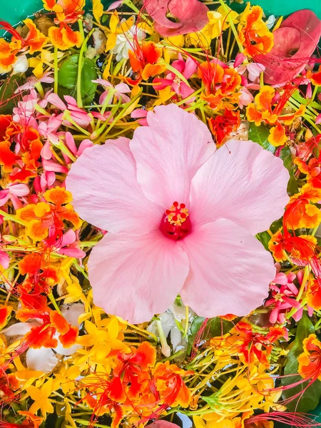 ソンクラーンのボウルに浮かぶカラフルな花びら — ストック写真