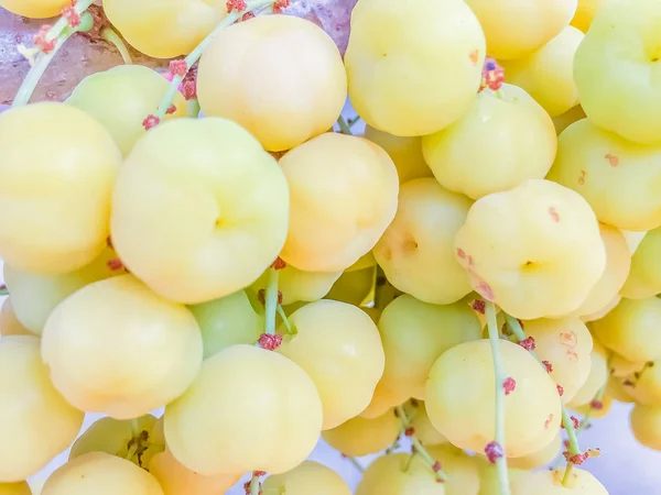 Cerca de fresco y fructífero de grosella de la estrella en el árbol — Foto de Stock