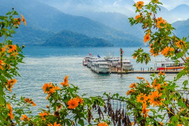 Güzel Landscape of Sun Moon Lake sabah dağ arka plan ve sarı çiçek ön planda Nantou, Tayvan