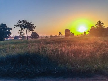Pirinç çeltik alan gündoğumu, bulutlu ve mavi gökyüzü sabahları sırasında güzel görünümü