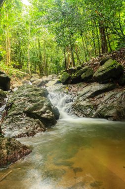 Bang Pae Şelalesi, Khao Phra Thaeo Milli Park alanında Thalang, Phuket Town kuzeyinde popüler eğlence için bir ada yer. Piknik yeri olarak ve eğlenceli bir hedef ıslak sezonunda Yüzme için siteyi kullanmak.