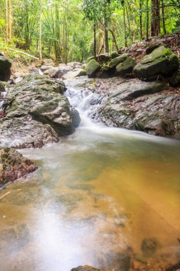 Bang Pae Şelalesi, Khao Phra Thaeo Milli Park alanında Thalang, Phuket Town kuzeyinde popüler eğlence için bir ada yer. Piknik yeri olarak ve eğlenceli bir hedef ıslak sezonunda Yüzme için siteyi kullanmak.
