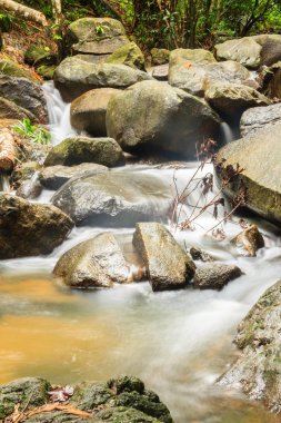 Bang Pae Şelalesi, Khao Phra Thaeo Milli Park alanında Thalang, Phuket Town kuzeyinde popüler eğlence için bir ada yer. Piknik yeri olarak ve eğlenceli bir hedef ıslak sezonunda Yüzme için siteyi kullanmak.