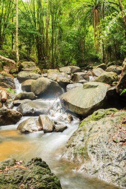 Bang Pae Şelalesi, Khao Phra Thaeo Milli Park alanında Thalang, Phuket Town kuzeyinde popüler eğlence için bir ada yer. Piknik yeri olarak ve eğlenceli bir hedef ıslak sezonunda Yüzme için siteyi kullanmak.
