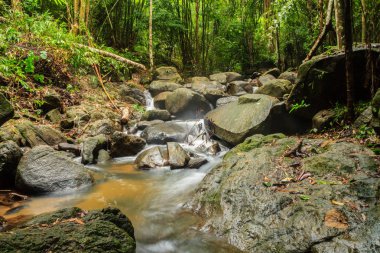 Bang Pae Şelalesi, Khao Phra Thaeo Milli Park alanında Thalang, Phuket Town kuzeyinde popüler eğlence için bir ada yer. Piknik yeri olarak ve eğlenceli bir hedef ıslak sezonunda Yüzme için siteyi kullanmak.