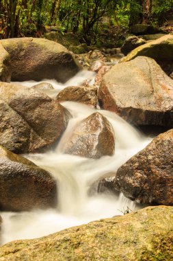 Bang Pae Şelalesi, Khao Phra Thaeo Milli Park alanında Thalang, Phuket Town kuzeyinde popüler eğlence için bir ada yer. Piknik yeri olarak ve eğlenceli bir hedef ıslak sezonunda Yüzme için siteyi kullanmak.