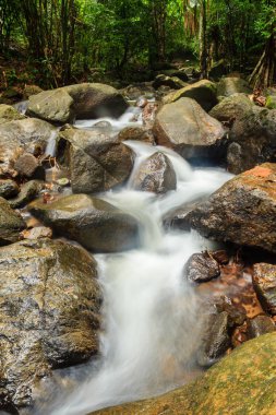 Bang Pae Şelalesi, Khao Phra Thaeo Milli Park alanında Thalang, Phuket Town kuzeyinde popüler eğlence için bir ada yer. Piknik yeri olarak ve eğlenceli bir hedef ıslak sezonunda Yüzme için siteyi kullanmak.