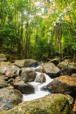 Bang Pae Şelalesi, Khao Phra Thaeo Milli Park alanında Thalang, Phuket Town kuzeyinde popüler eğlence için bir ada yer. Piknik yeri olarak ve eğlenceli bir hedef ıslak sezonunda Yüzme için siteyi kullanmak.