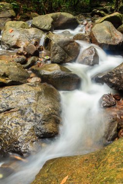 Bang Pae Şelalesi, Khao Phra Thaeo Milli Park alanında Thalang, Phuket Town kuzeyinde popüler eğlence için bir ada yer. Piknik yeri olarak ve eğlenceli bir hedef ıslak sezonunda Yüzme için siteyi kullanmak.