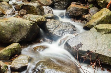 Bang Pae Şelalesi, Khao Phra Thaeo Milli Park alanında Thalang, Phuket Town kuzeyinde popüler eğlence için bir ada yer. Piknik yeri olarak ve eğlenceli bir hedef ıslak sezonunda Yüzme için siteyi kullanmak.