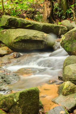 Bang Pae Şelalesi, Khao Phra Thaeo Milli Park alanında Thalang, Phuket Town kuzeyinde popüler eğlence için bir ada yer. Piknik yeri olarak ve eğlenceli bir hedef ıslak sezonunda Yüzme için siteyi kullanmak.