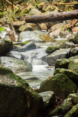 Bang Pae Şelalesi, Khao Phra Thaeo Milli Park alanında Thalang, Phuket Town kuzeyinde popüler eğlence için bir ada yer. Piknik yeri olarak ve eğlenceli bir hedef ıslak sezonunda Yüzme için siteyi kullanmak.