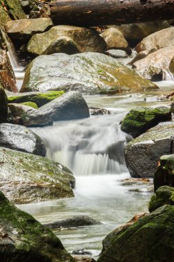 Bang Pae Şelalesi, Khao Phra Thaeo Milli Park alanında Thalang, Phuket Town kuzeyinde popüler eğlence için bir ada yer. Piknik yeri olarak ve eğlenceli bir hedef ıslak sezonunda Yüzme için siteyi kullanmak.