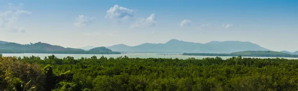 泰国普吉岛他朗假日角 Yamu Paklok 美丽的常青树林的全景景色 旅游业的增长和酒店和度假村的建设减少了红树林区的面积 — 图库照片