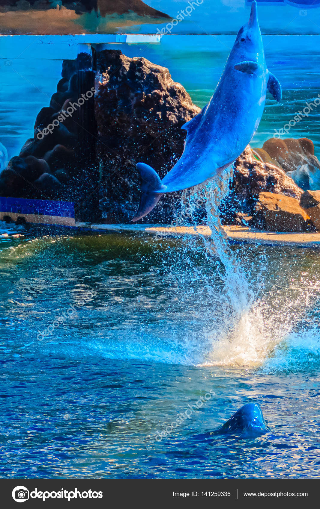 Gommette Poisson 50 Autocollants Dauphins Mignons - Vinyle Imperméable Pour  Déco Tasse, Laptop, Valise Autocollants Animaux Mignons, image size:1067x1700