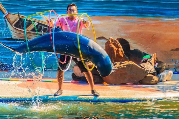 Chanthaburi Tailandia Mayo 2015 Trainer Está Enseñando Los Delfines Saltar — Foto de Stock
