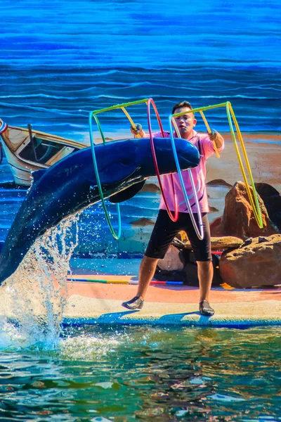 Chanthaburi Thailandia Maggio 2015 Trainer Insegna Delfino Saltare Attraverso Gli — Foto Stock