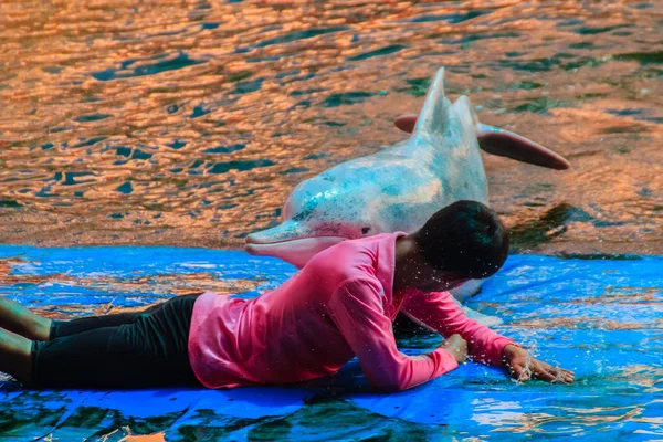 Chanthaburi Tailandia Mayo 2015 Trainer Está Enseñando Los Delfines Saltar —  Fotos de Stock