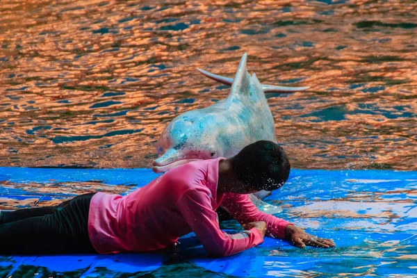 Chantaburi Thailand Mei 2015 Trainer Leert Dolfijn Springen Masseren Vindt — Stockfoto