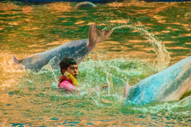 Chanthaburi, Tayland-Mayıs 5, 2015: eğitmen atlama ve Oasis Sea World, Thai fantastik Dolphinarium, Tayland içinde yüzme havuzunda dans gösterileri için yunus öğreterek.