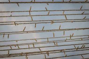 Parlak Led ışıkları bir satýr ışığında Noel arifesi için dekore edilmiştir. O will güzel gecesi 