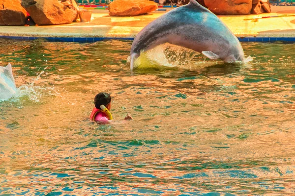 Chanthaburi Thailand May 2015 Trainer Riding Teaching Dolphin Jumping Shows — Stock Photo, Image