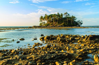 Rock plaj ve deniz suyu mavi gökyüzü ve bulutlu gün arka plan gerilemiştir zaman ağaç ile yalnız uzak ada