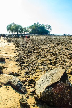 Rock plaj ve deniz suyu mavi gökyüzü ve bulutlu gün arka plan gerilemiştir zaman ağaç ile yalnız uzak ada