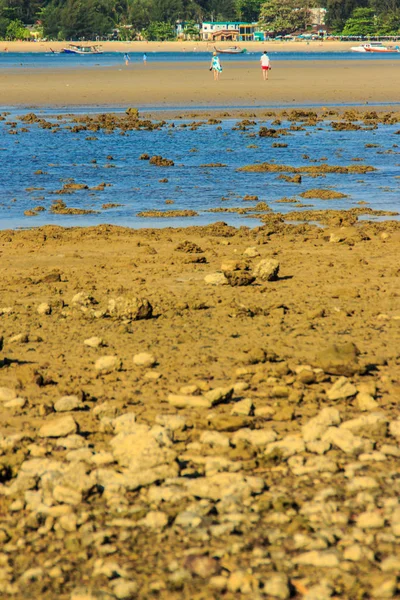 Hermosas Piedras Rocosas Playa Cuando Agua Del Mar Retrocedió Con — Foto de Stock