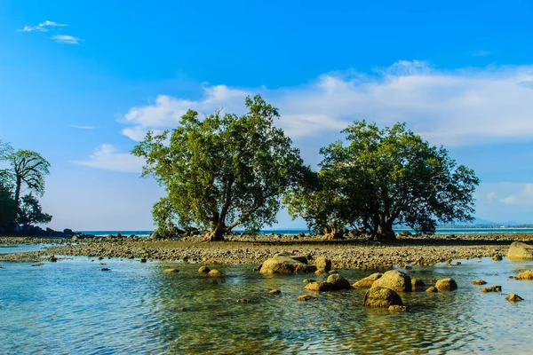 Einsame Abgelegene Insel Mit Felsstrand Und Baum Als Das Meerwasser — Stockfoto