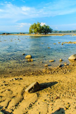 Rock plaj ve deniz suyu mavi gökyüzü ve bulutlu gün arka plan gerilemiştir zaman ağaç ile yalnız uzak ada