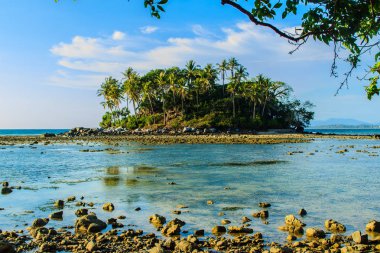 Rock plaj ve deniz suyu mavi gökyüzü ve bulutlu gün arka plan gerilemiştir zaman ağaç ile yalnız uzak ada