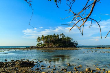 Rock plaj ve deniz suyu mavi gökyüzü ve bulutlu gün arka plan gerilemiştir zaman ağaç ile yalnız uzak ada