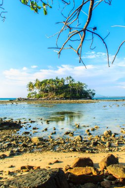 Rock plaj ve deniz suyu mavi gökyüzü ve bulutlu gün arka plan gerilemiştir zaman ağaç ile yalnız uzak ada
