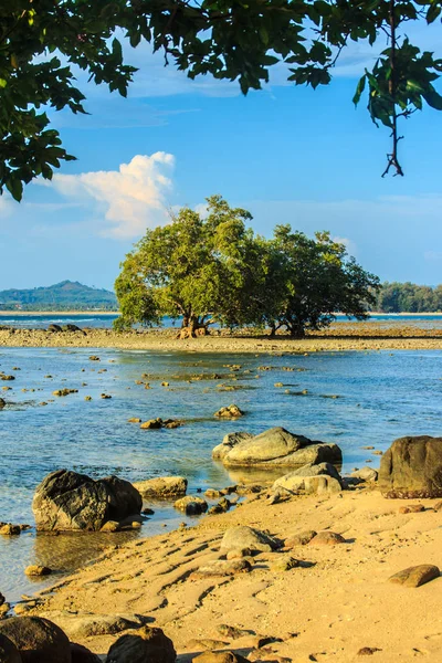 Lonely Remote Island Rock Beach Tree Sea Water Receded Blue — Stock Photo, Image