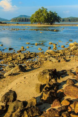 Rock plaj ve deniz suyu mavi gökyüzü ve bulutlu gün arka plan gerilemiştir zaman ağaç ile yalnız uzak ada