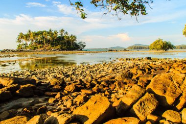 Rock plaj ve deniz suyu mavi gökyüzü ve bulutlu gün arka plan gerilemiştir zaman ağaç ile yalnız uzak ada