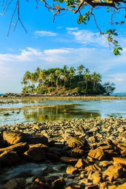 Rock plaj ve deniz suyu mavi gökyüzü ve bulutlu gün arka plan gerilemiştir zaman ağaç ile yalnız uzak ada
