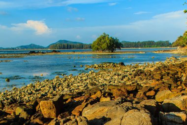 Rock plaj ve deniz suyu mavi gökyüzü ve bulutlu gün arka plan gerilemiştir zaman ağaç ile yalnız uzak ada