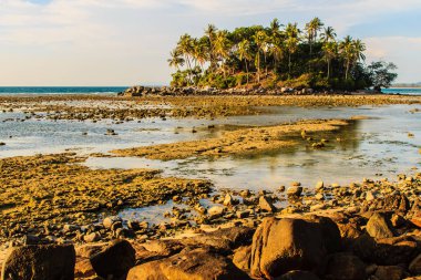 Rock plaj ve deniz suyu mavi gökyüzü ve bulutlu gün arka plan gerilemiştir zaman ağaç ile yalnız uzak ada
