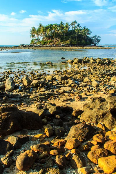 Lonely remote island with rock beach and tree when the sea water receded in blue sky and cloudy day background