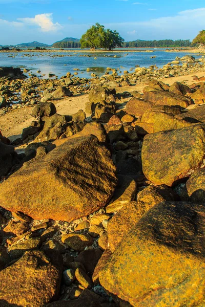 Lonely remote island with rock beach and tree when the sea water receded in blue sky and cloudy day background