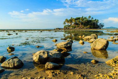 Rock plaj ve deniz suyu mavi gökyüzü ve bulutlu gün arka plan gerilemiştir zaman ağaç ile yalnız uzak ada