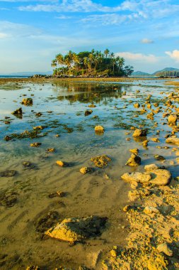 Rock plaj ve deniz suyu mavi gökyüzü ve bulutlu gün arka plan gerilemiştir zaman ağaç ile yalnız uzak ada